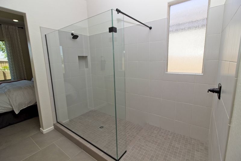 Modern Shower Area